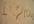 write your message in the sand at the beach and take a picture