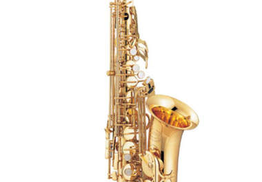 play any song on my alto saxophone for you big1