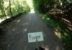 make a video with your ad on my HD helmet camera while I go downhill on a nice Canadian trail