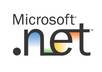help you in dotnet coding or make a dotnet web page