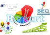 create a killer SEO Report for your website to get Instant Seo Improvements within 24H