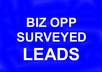Fiver-bizoppsurveyedleads