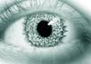write about yourself and predict your future