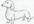 sketch an Animal for you