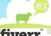 teach you the secret i used in making money on fiverr