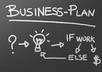 do your professional level detailed business plan