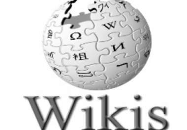 make for you 6 000 Wikis backlinks on 2 000 unique Wikis domains big1