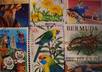 send 125 colorful worldwide stamps to you small1