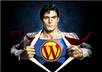 fix/Improve your WORDPRESS Blogs or cure Wordpress illness