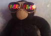 write website name or message or any thing you want on sunglasses and send you pictures of monkey wearing it small1
