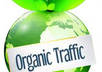send 2000+ Search Engine Traffic From Google To Your Website