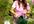 send you 730+ Gardening plr articles