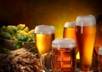 give you a Beer Brewing info and tips Turnkey Website Business W Clickbank Amazon Adsense Wordpress, loaded with 20  articles, Autopilot small1