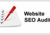 audit and Analyze Your Website and Give You Detailed SEO Report On What You Must Do To Get Your Website To The Top Of Search Engines