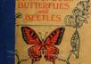 give you american boys book of bugs, butterflies, beetles, small1