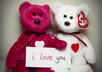 allow my 2 beanie babies to hold up a sign that says i love you or any other lovey dovey message