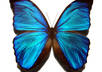 answer your question about advaita, enlightenment, liberation, non duality or self realization small1