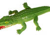 send you an alligator from Florida