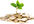 send you over 5000 articles on Wealth Building
