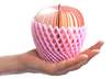 send you an awesome Apple Memo Pad small1