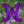 hcworks