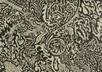 Altered_perception_2