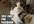 create 20 positive comments on your Facebook wall
