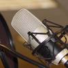 manofvoices