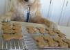 make a batch pet treats for your favorite animal