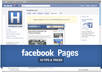 give you a Facebook Fan Page Complete Business Kit