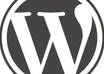 solve any WordPress related problems small1