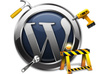 troubleshoot your wordpress install