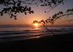 write a 250 word article about Costa Rica small1
