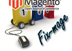 install magento ecommerce site with magento themes / magento extensions and professional bug fixing