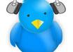 tweet your message and link to over 45,000 active, engaged, musically inclined followers