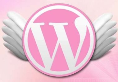 help you set up, tweak, edit or troubleshoot your Wordpress blog or theme big1