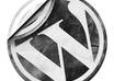 create for you WordPress based site small1