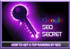 give you the whole informations about google seo secrets