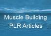 give you 120+ High Quality Muscle Building PLR Articles + Content Rewriter Software