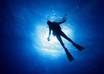 teach you the basics of diving