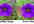 professionaly convert any bitmap, jpg, png images to vector format within 24 hours