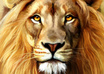 give you 830 picture perfect clean crisp flawless wallpapers