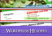 create a nice wordpress header design