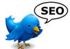 Seo-twitter-plymouth