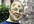 turn you into a Zombie or a Vampire