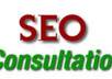 provide SEO Consultation