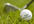 incribe message, name or website name over a GOLF ball
