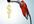 how To Save Money And Conserve Gas at the Gas Pump
